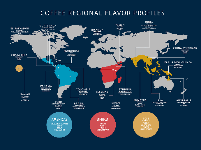 Buzzing Through History: The Coffee Trade Routes